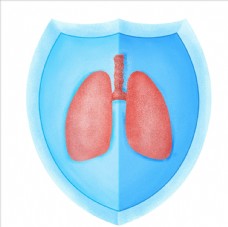 肺炎人体器官卡通肺部
