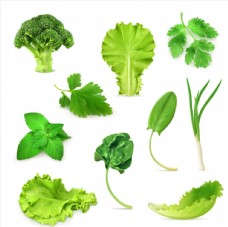 绿色蔬菜蔬菜叶子